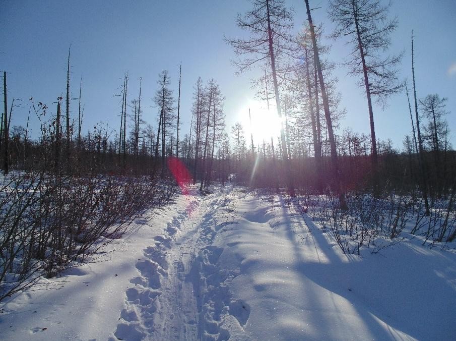 Отчет о лыжном походе 5 к.с. по хребту Калар