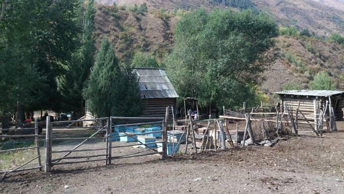 Отчет о прохождении пешеходного туристского спортивного маршрута 4 к.с. по Юго-Западному Тянь-Шаню
