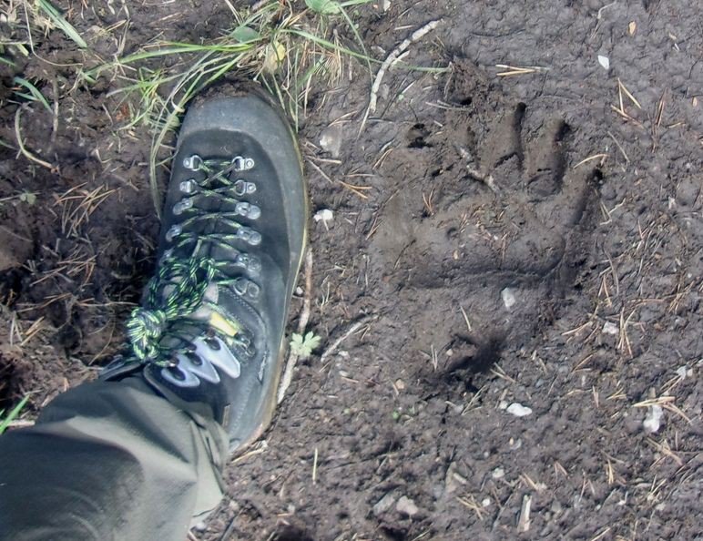 Отчёт о прохождении маршрута 3 к.с.по Ц.Кавказу (Узункол — Теберда)