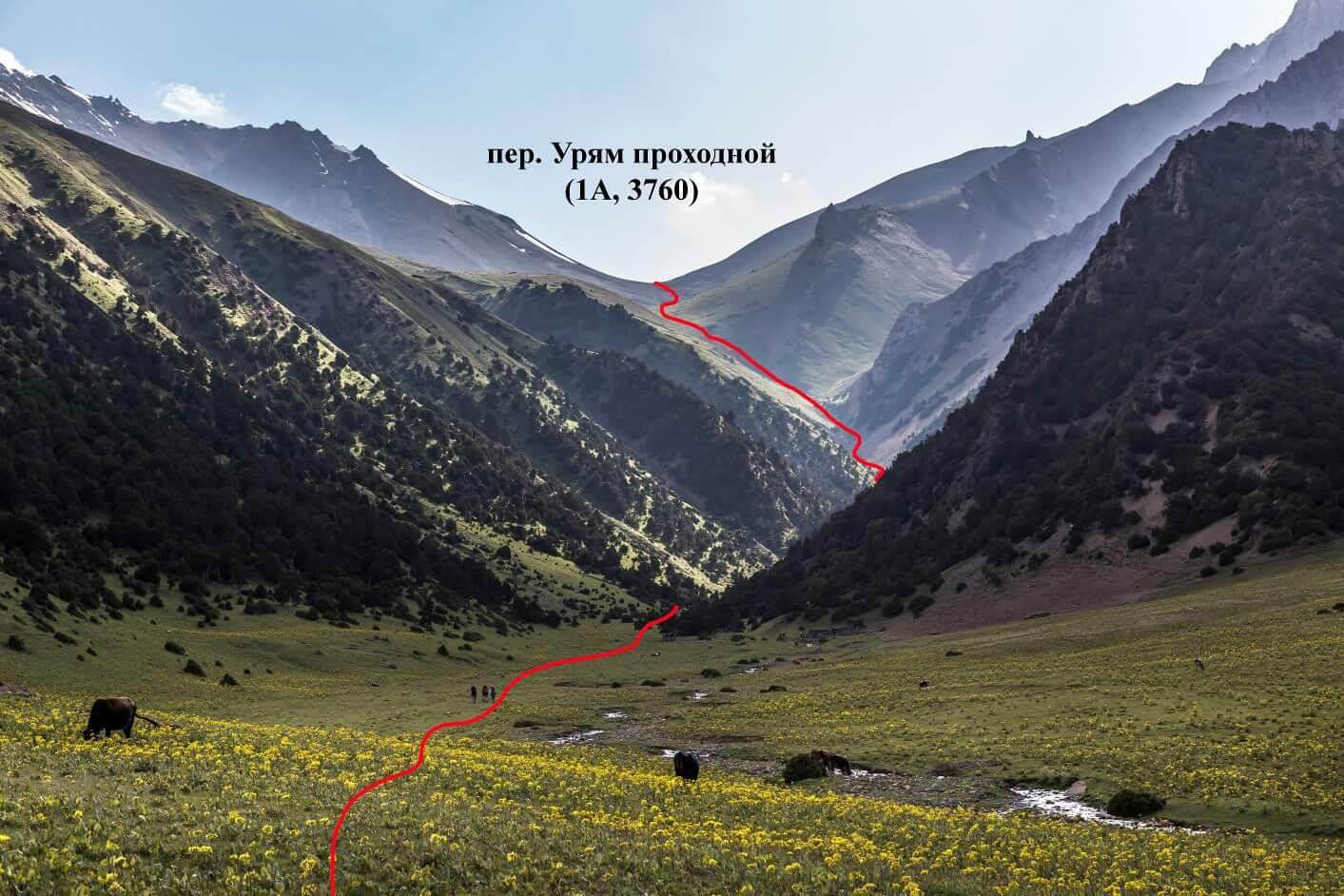 Отчет о горном походе 6 к.с. по Туркестанскому хребту