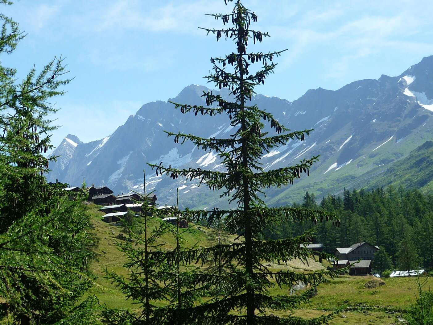 Отчет горном походе 5 к.с.. по Бернским и Лепонтинским Альпам (Швейцария)