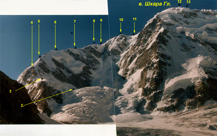 mount gesztenyebarna waltham fogyás vidéki élet fogyás