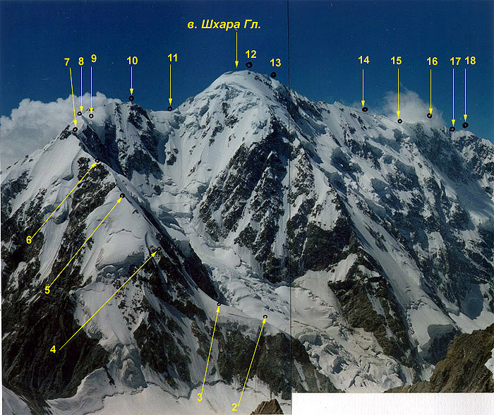 mount gesztenyebarna waltham fogyás fogyjon napi 3 étkezéssel