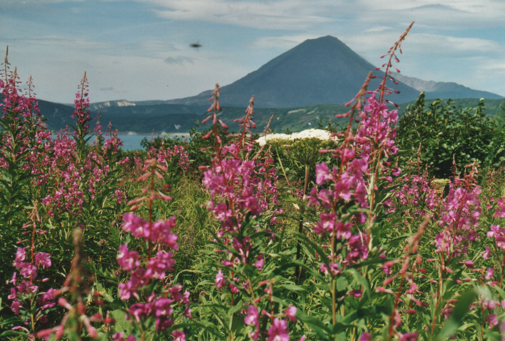 Kamchatka / Adventure / Mountain.RU