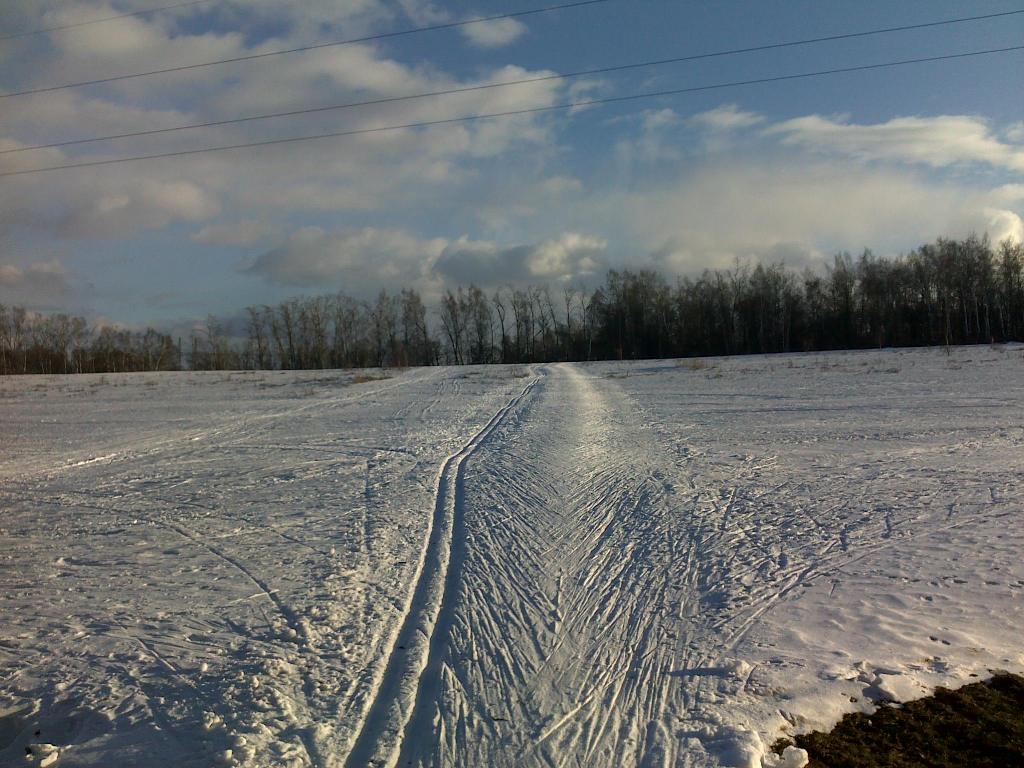 <figcaption>Архив. Битца, 27 марта 2010.</figcuption>