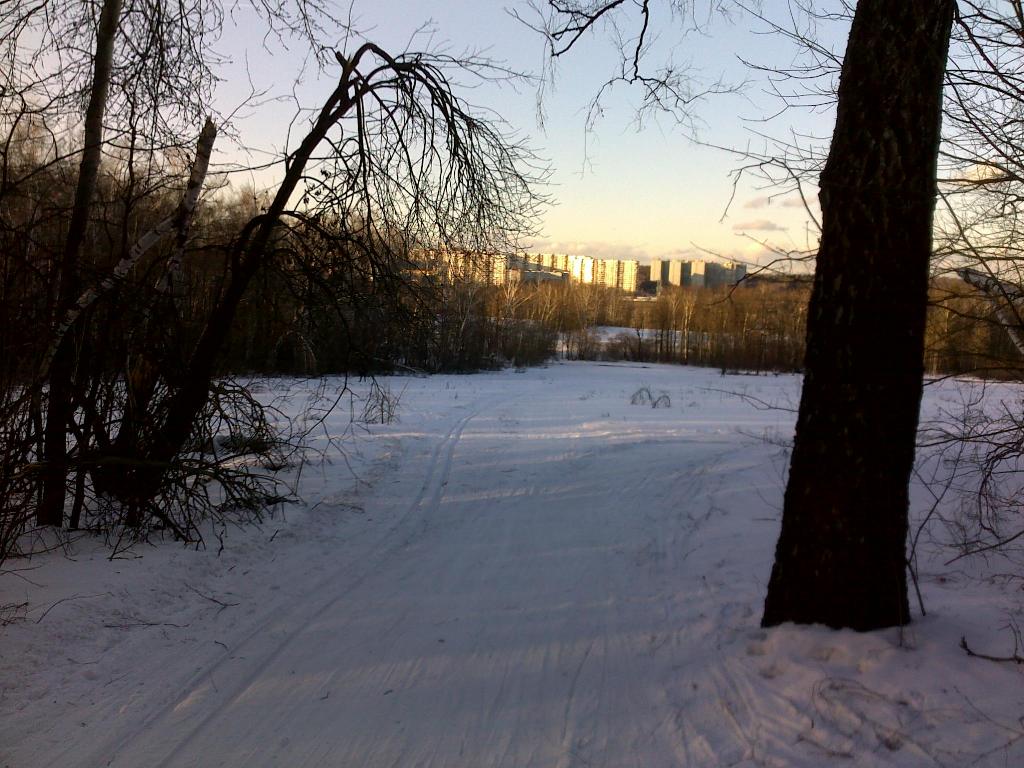 <figcaption>Архив. Битца, 27 марта 2010.</figcuption>